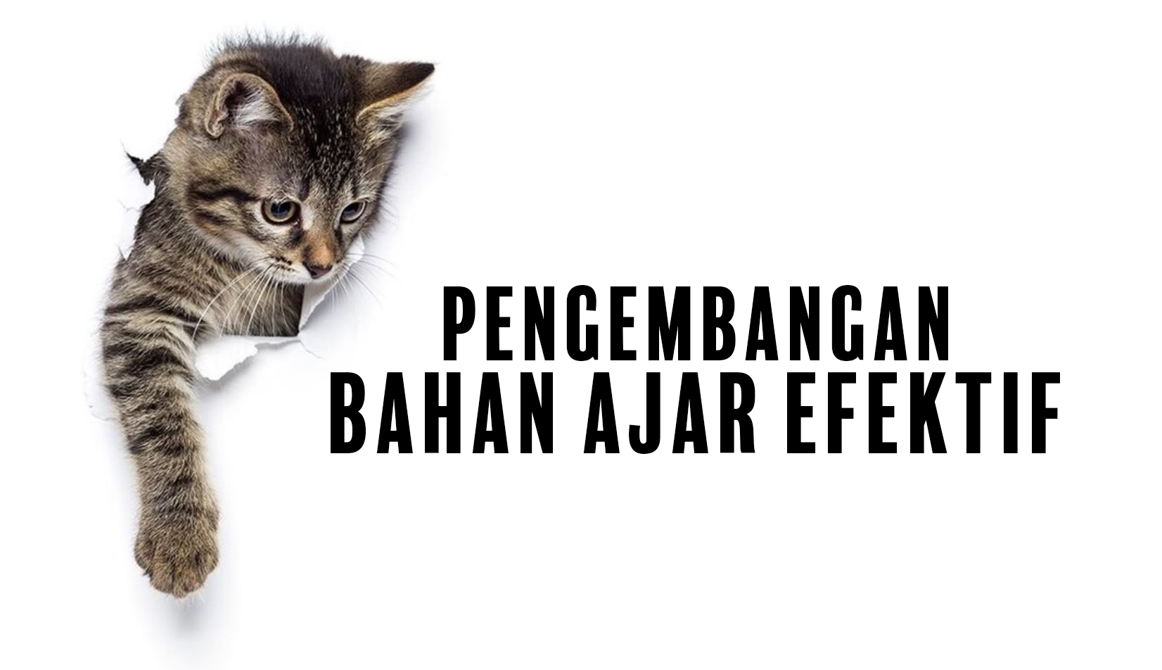 Pengembangan Bahan Ajar Efektif